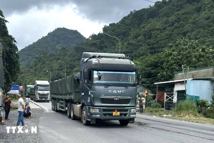 Dỡ đồ căn hộ từ xe chuyển nhà TPHCM đi Ninh Thuận vào nhà mới